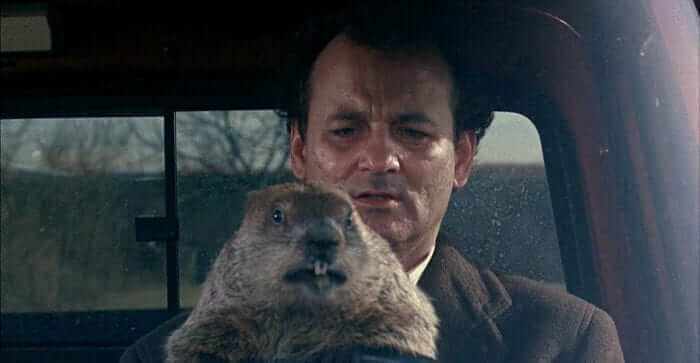 Is 'Groundhog Day' on Netflix? - What's on Netflix