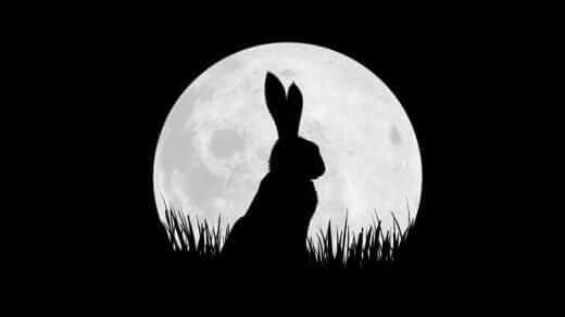 bbc co production watership down