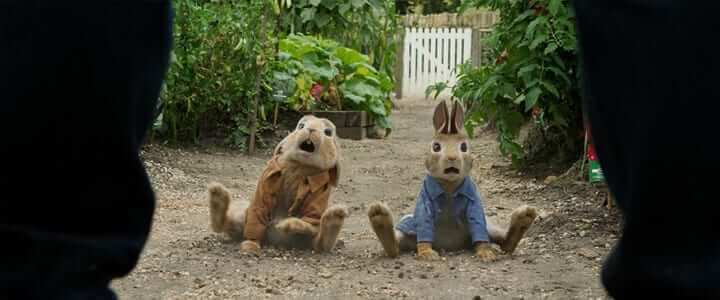 Peter Rabbit Now On Netflix