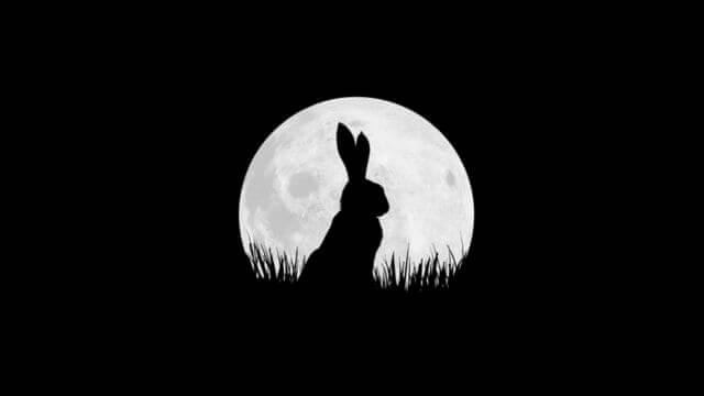 Watership down netflix preview