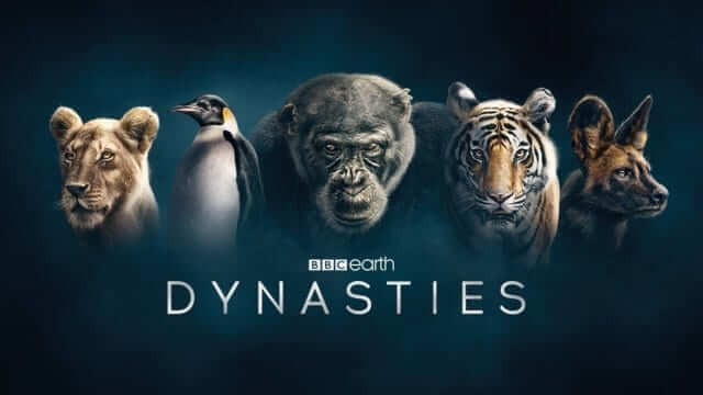 Dynasties Bbc When Will It Be On Netflix