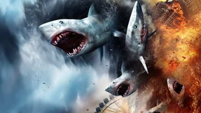 Sharkando Franchise Leaving Netflix