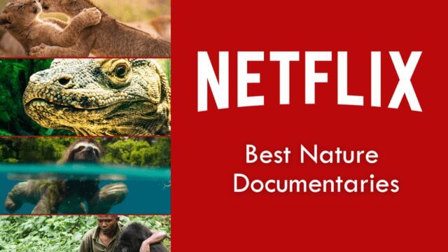 Best Nature Documentaries On Netflix