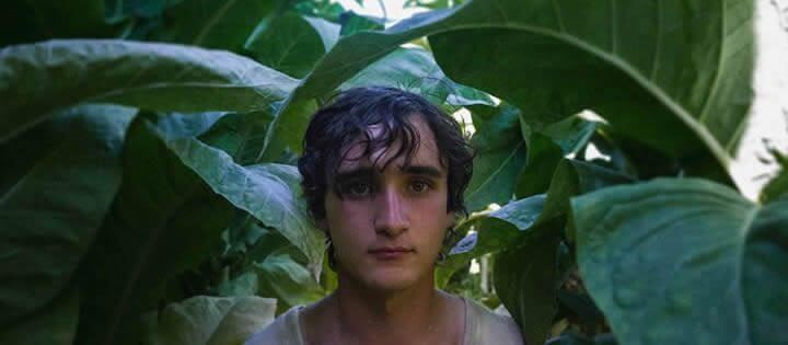 Happy as Lazzaro 2018