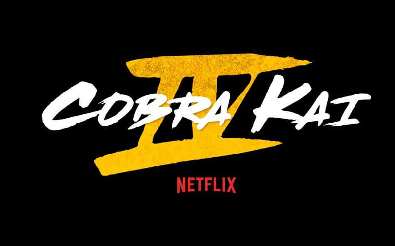 Cobra Kai Season 4 Cast  Can't Wait For Cobra Kai to Return