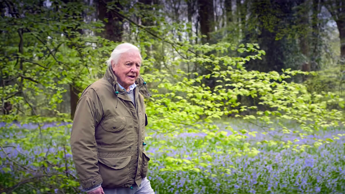 Secret World Of Sound David Attenborough