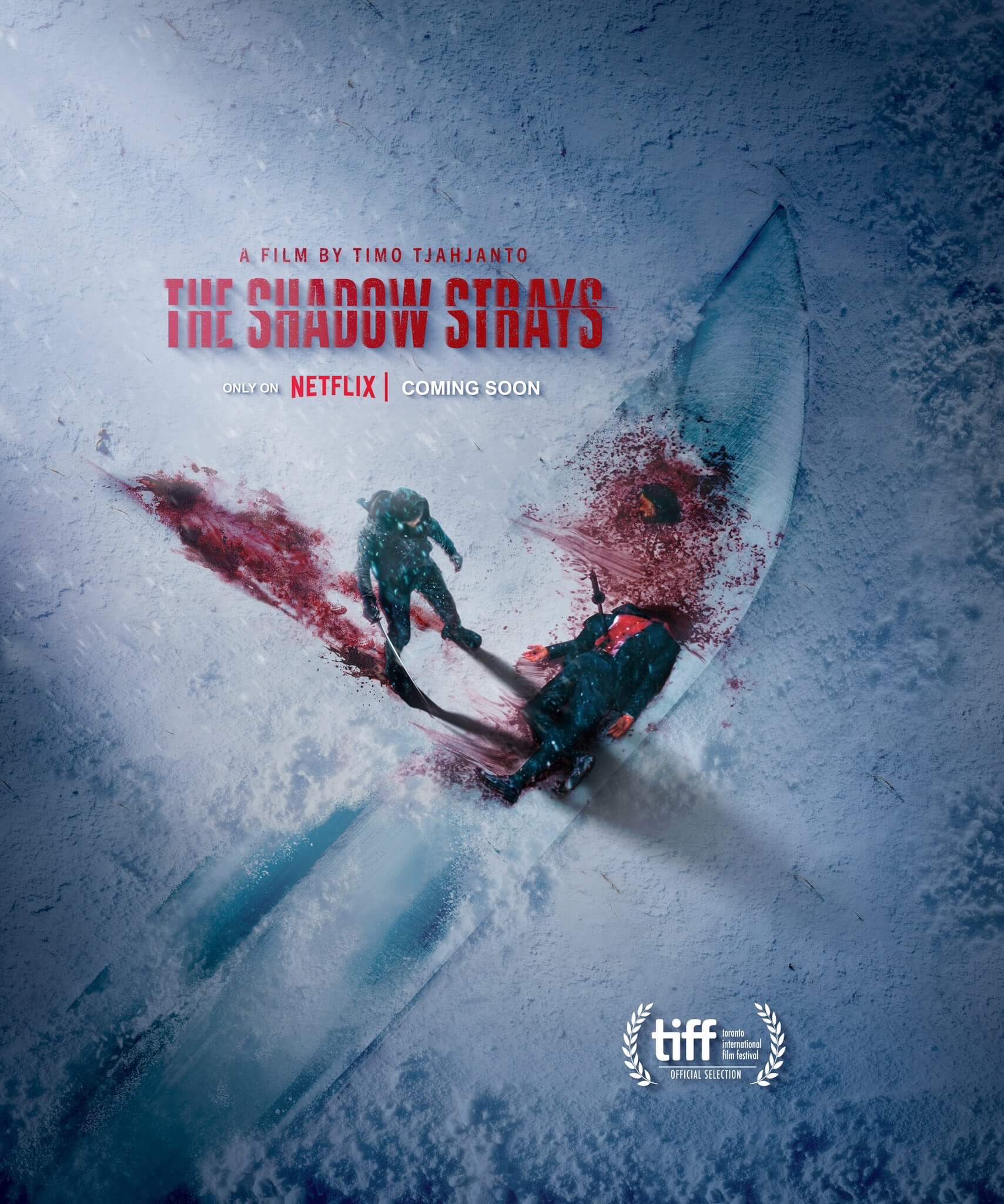 The Shadow Strays Poster