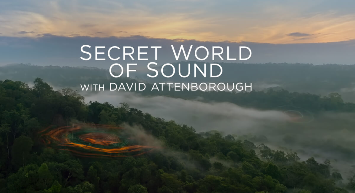 Title Card For Secret World Of Sound With David Attenborough