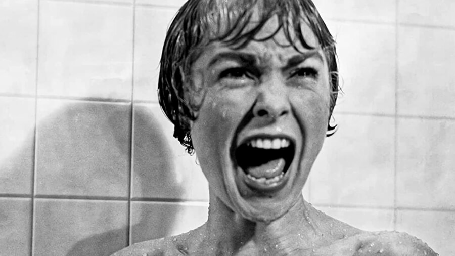 Psycho New On Netflix