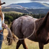 When Will ‘Heartland’ Season 18 Release on Netflix? Full Release Schedule Article Photo Teaser