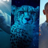 The 10 Must-Watch Nature Documentaries on Netflix in 2025 Article Photo Teaser