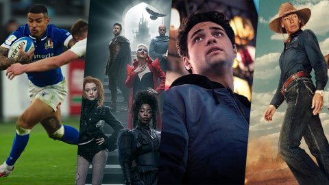 Every Canceled Netflix Series in 2025 (So Far) Article Teaser Photo