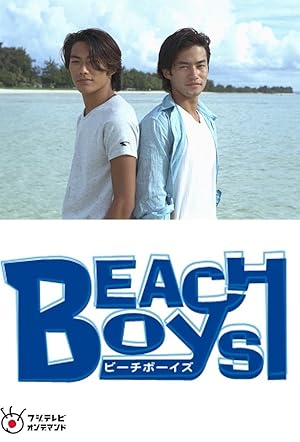 Beach Boys  Poster