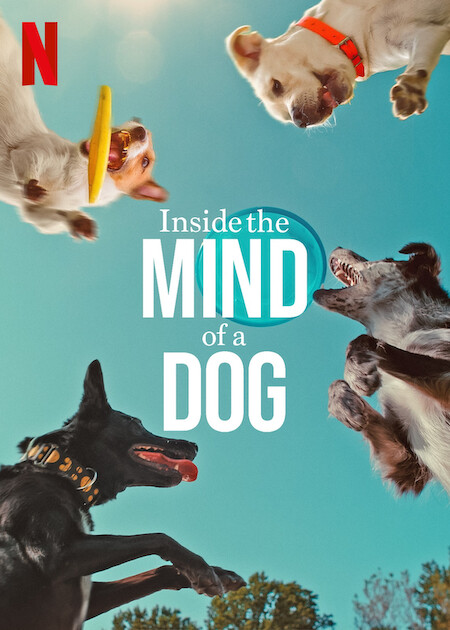 Inside the Mind of a Dog on Netflix