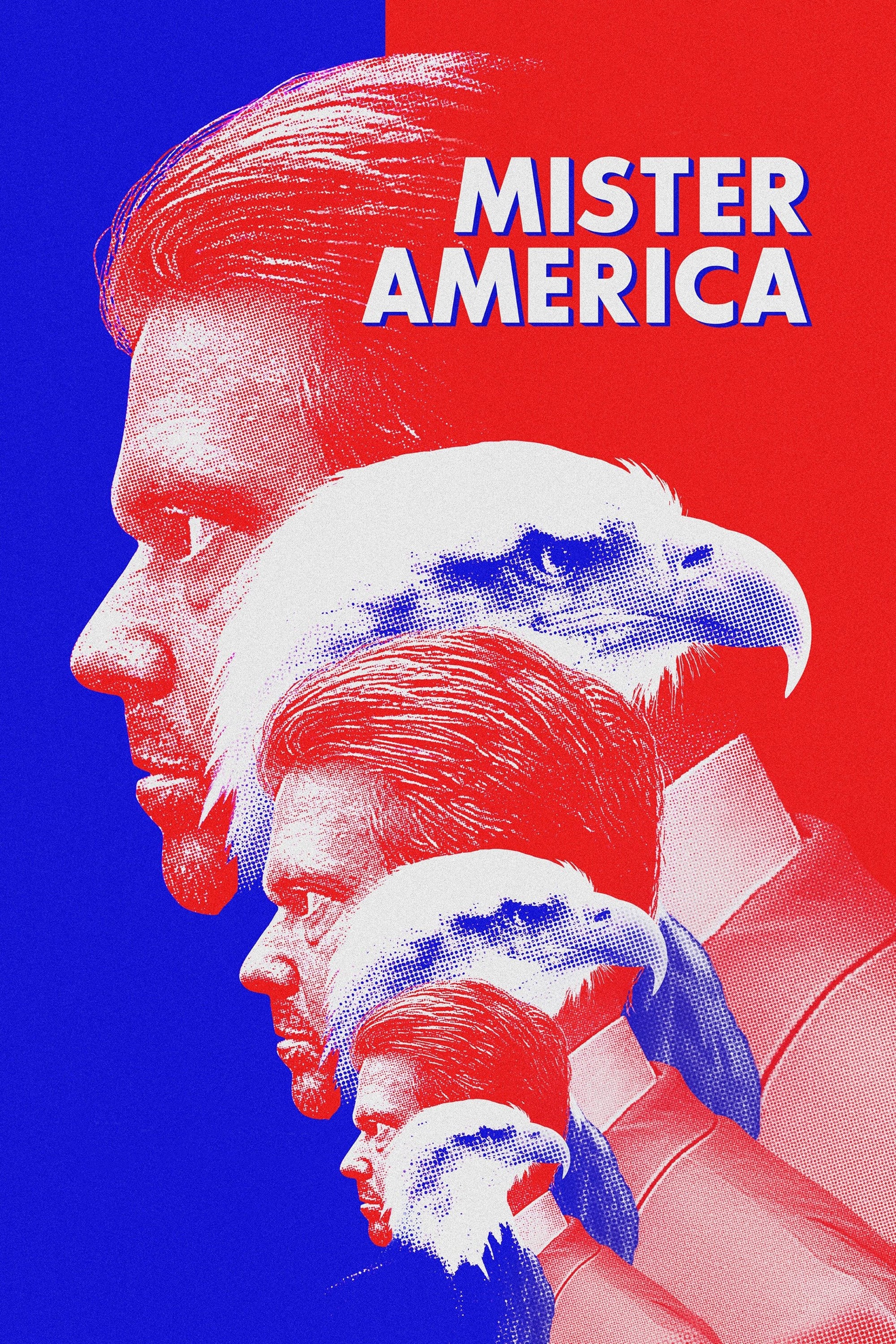 Mister America on Netflix