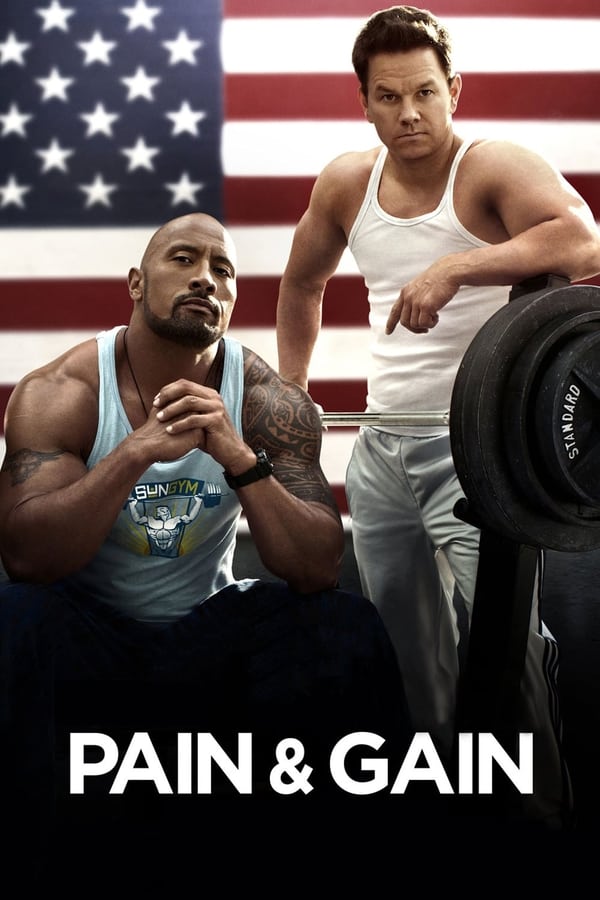 Pain & Gain  poster