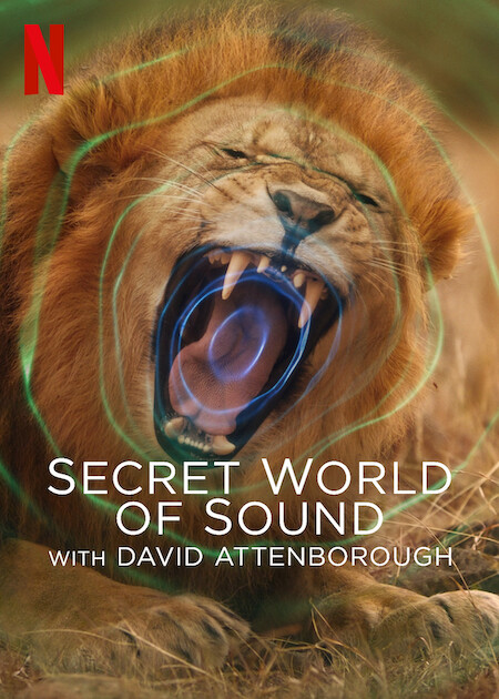 Secret World of Sound with David Attenborough on Netflix