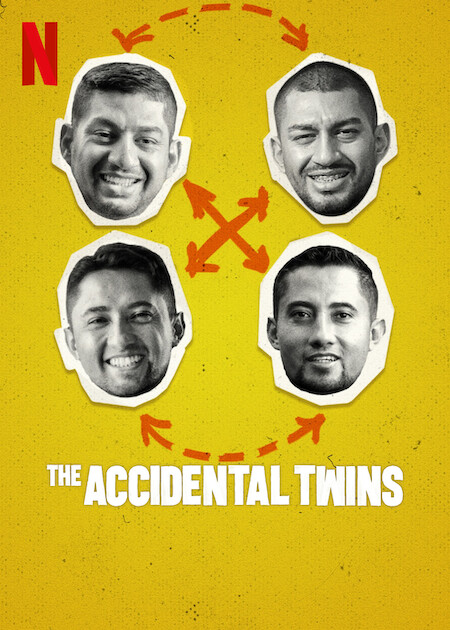 The Accidental Twins on Netflix