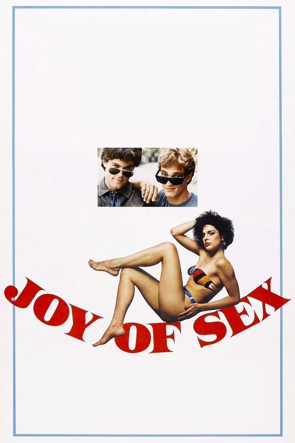 The Joy of Sex on Netflix