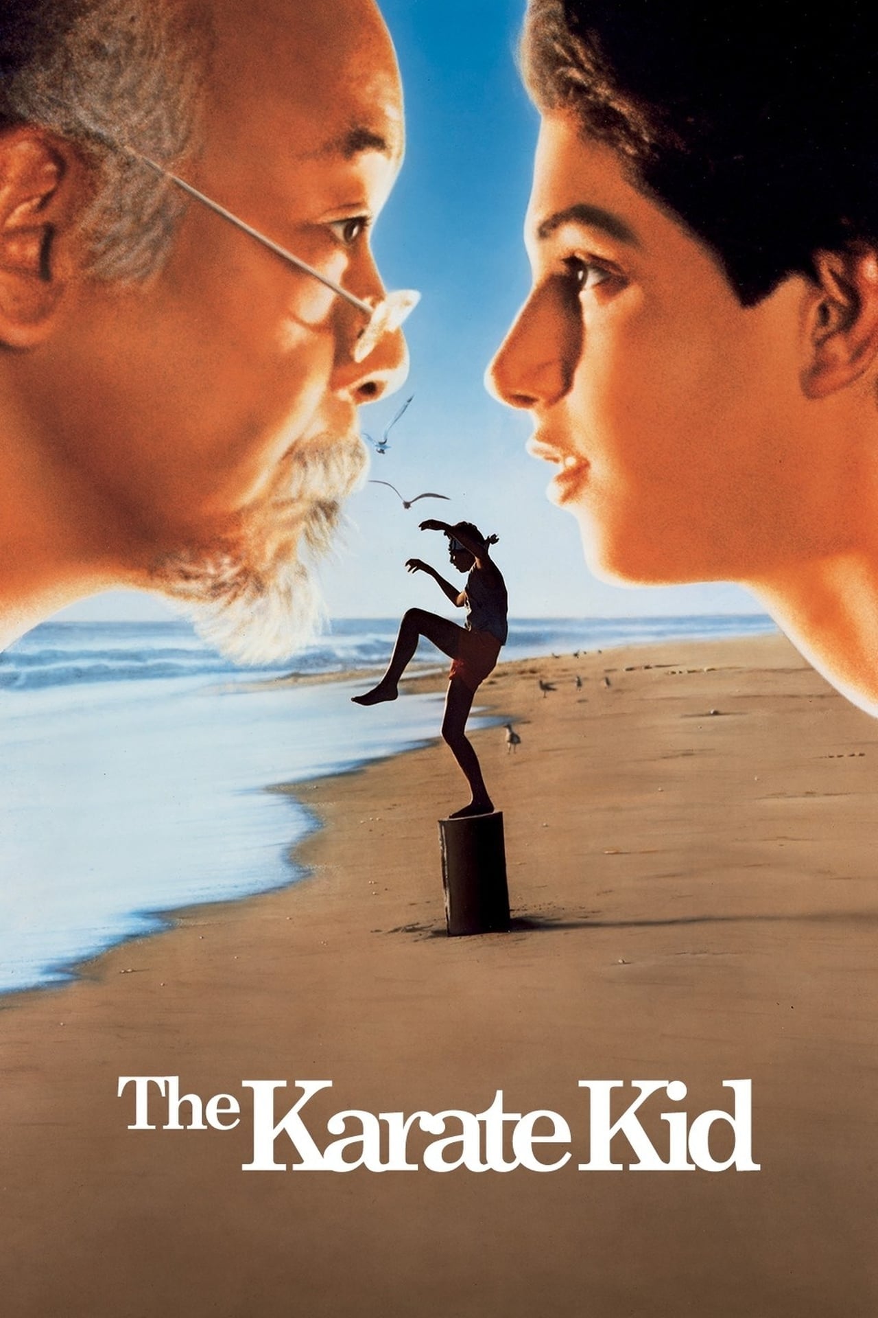 The Karate Kid on Netflix