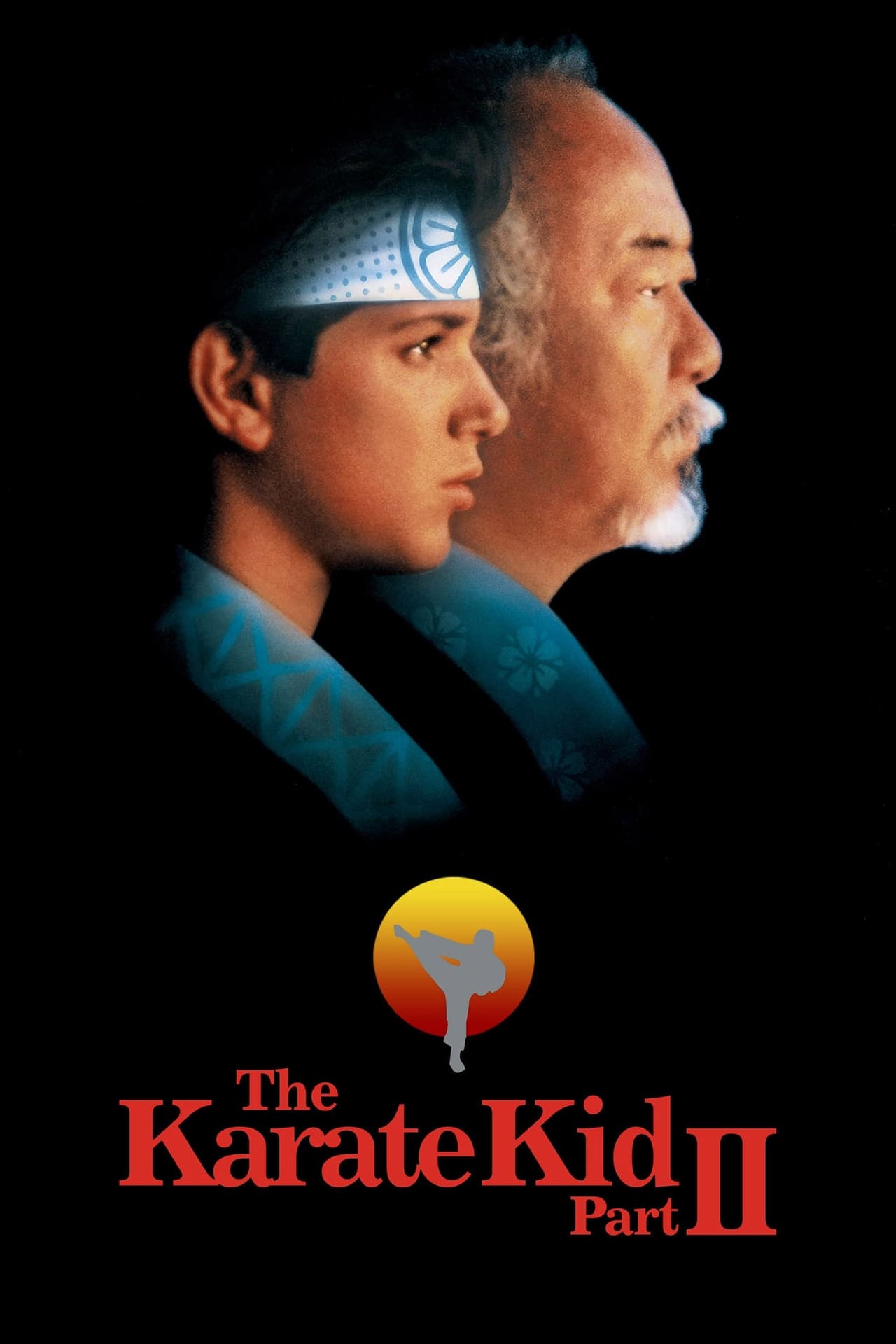 The Karate Kid Part II on Netflix
