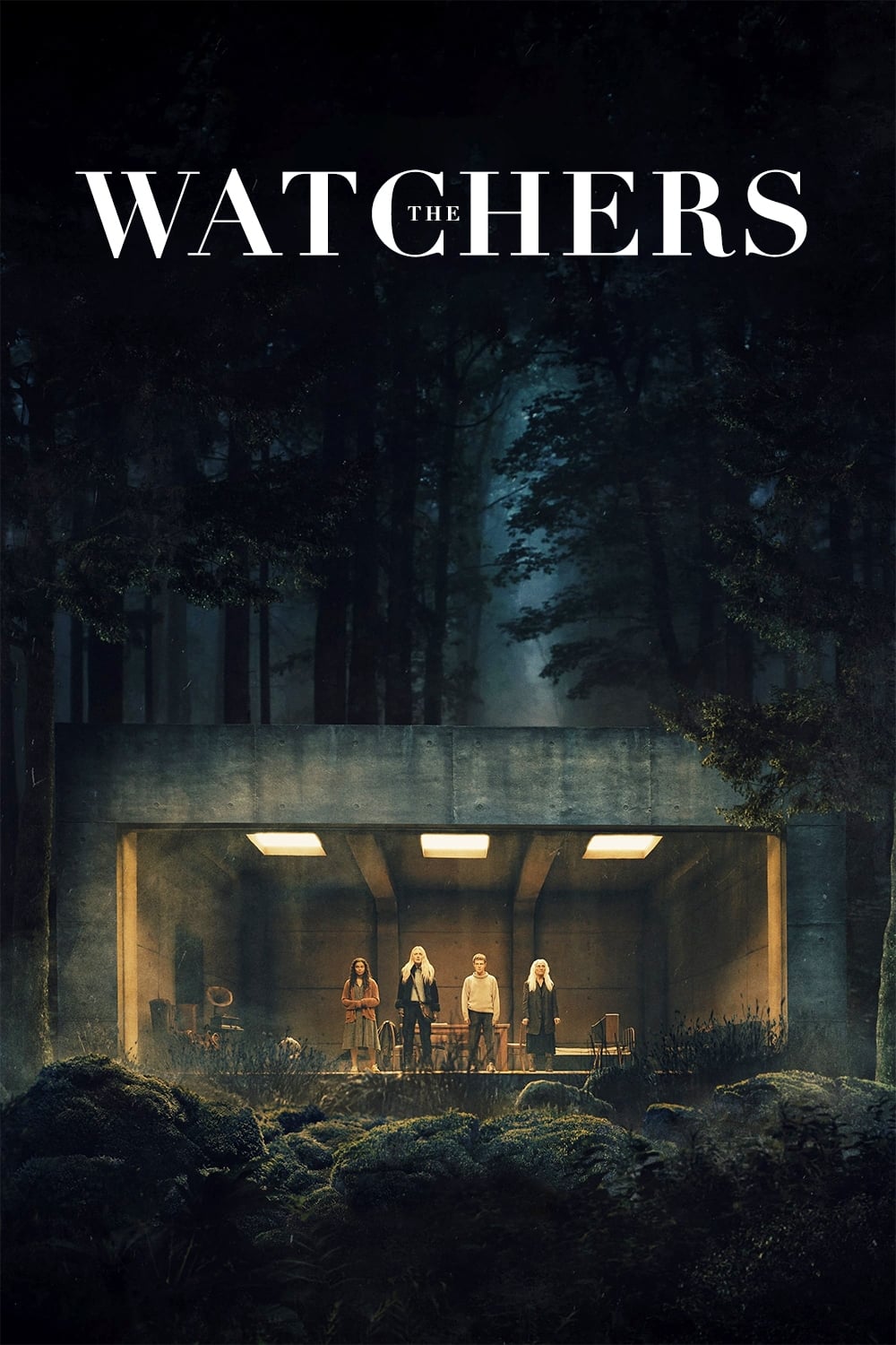 The Watchers on Netflix