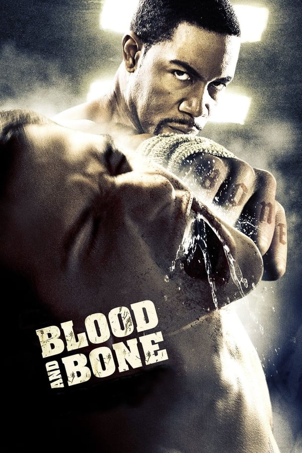 Blood and Bone on Netflix