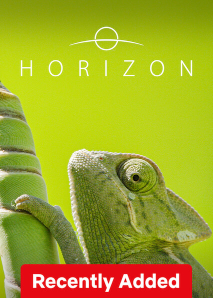 Horizon on Netflix