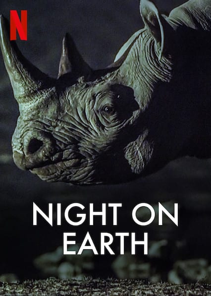 Night on Earth  Poster