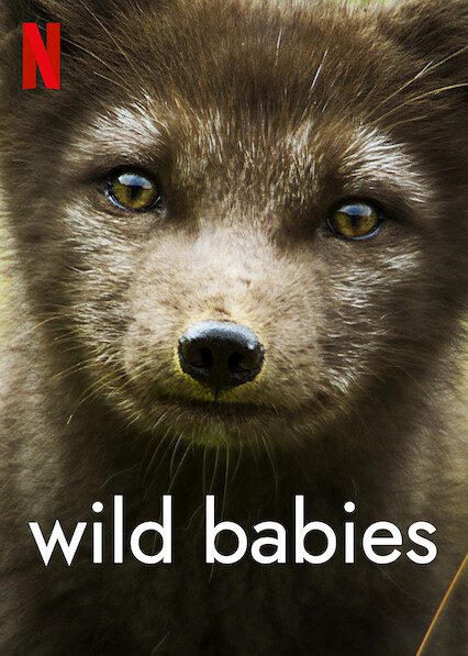 Wild Babies  Poster